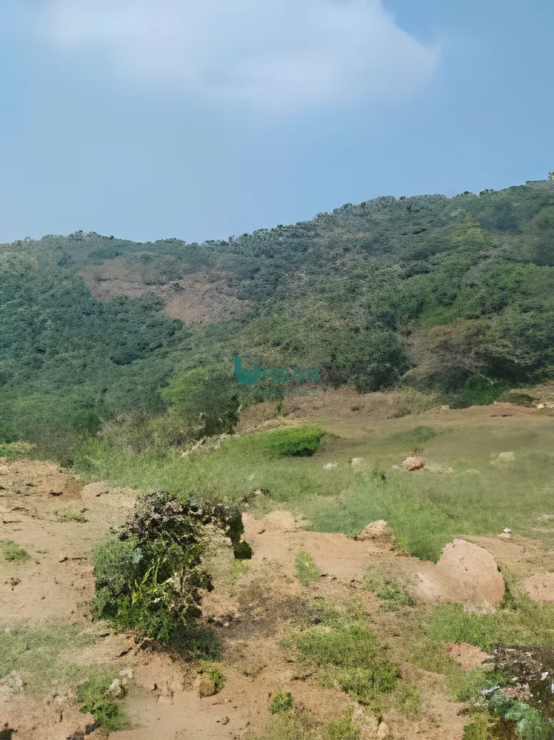 Land in Damour, lebanon