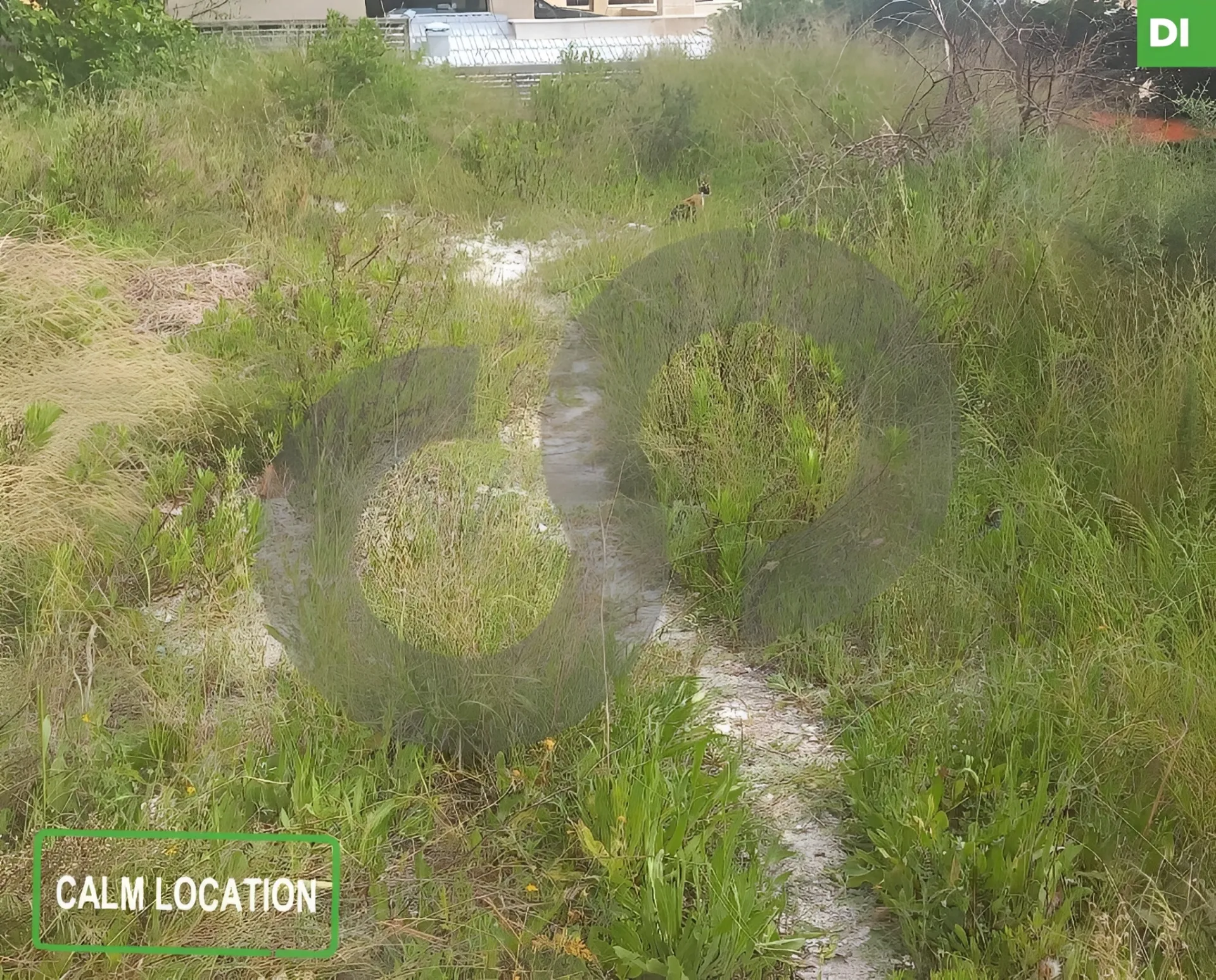 Land for Sale in Sidon, Lebanon