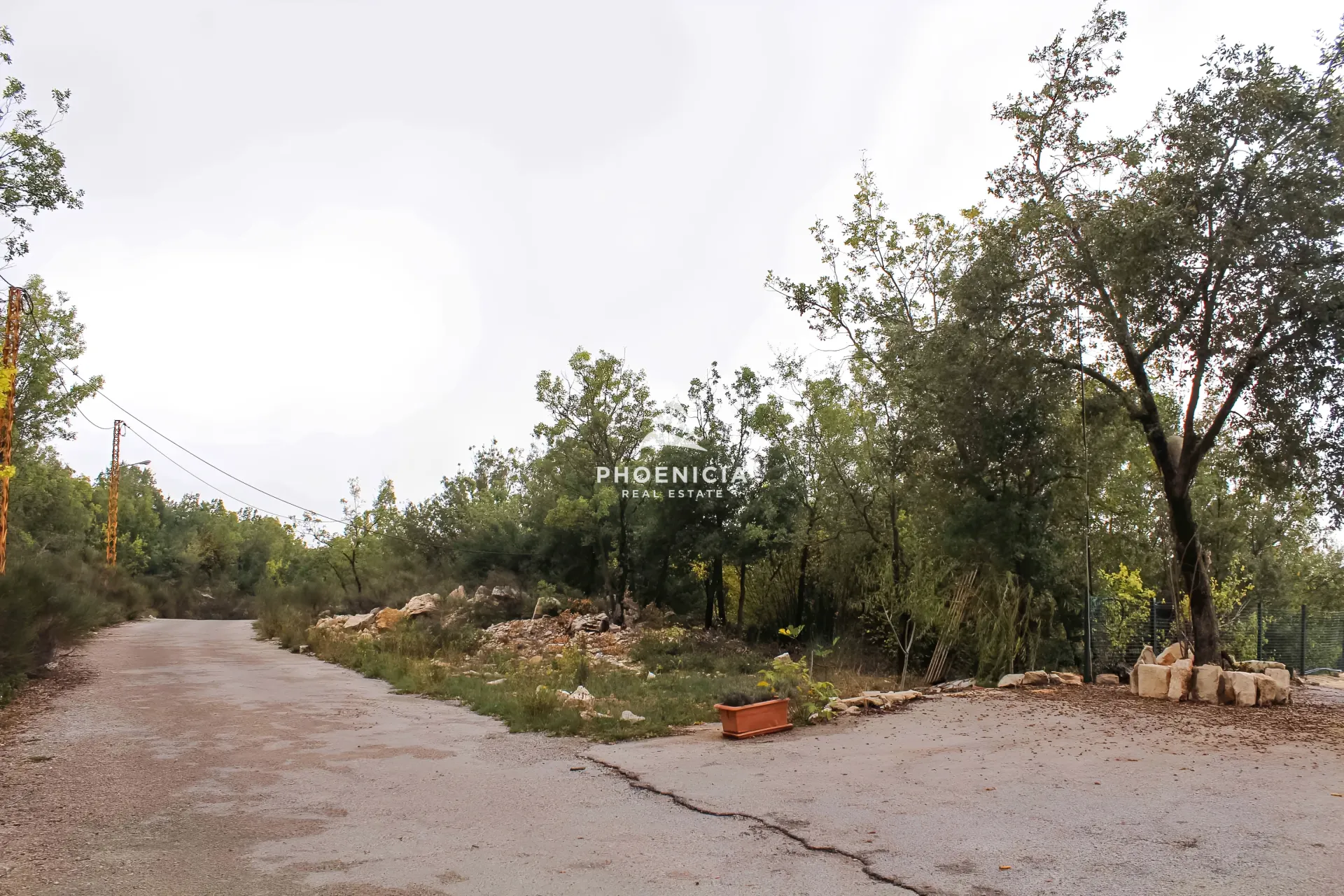 Land for Sale in Aannaya