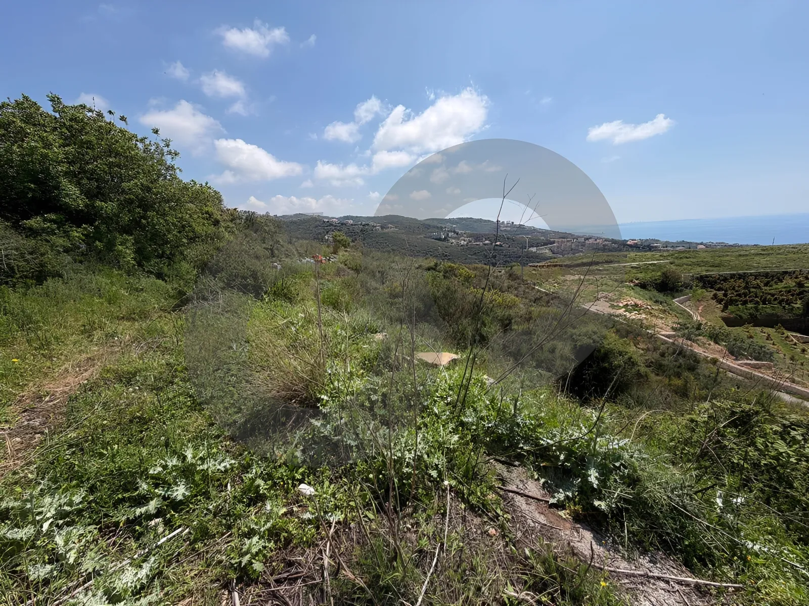 Land for Sale in Edde