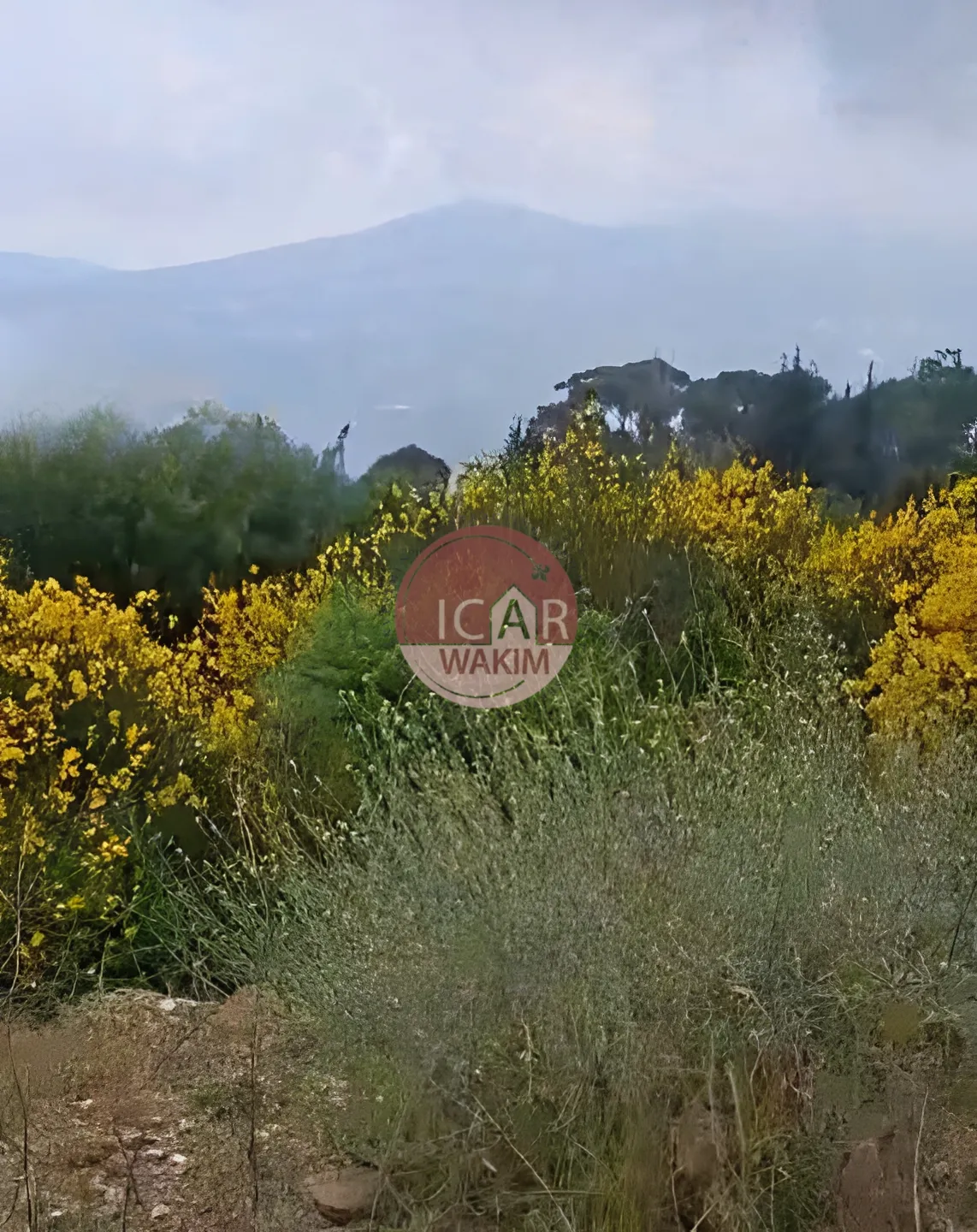 Residential Land for sale in Douma, Lebanon