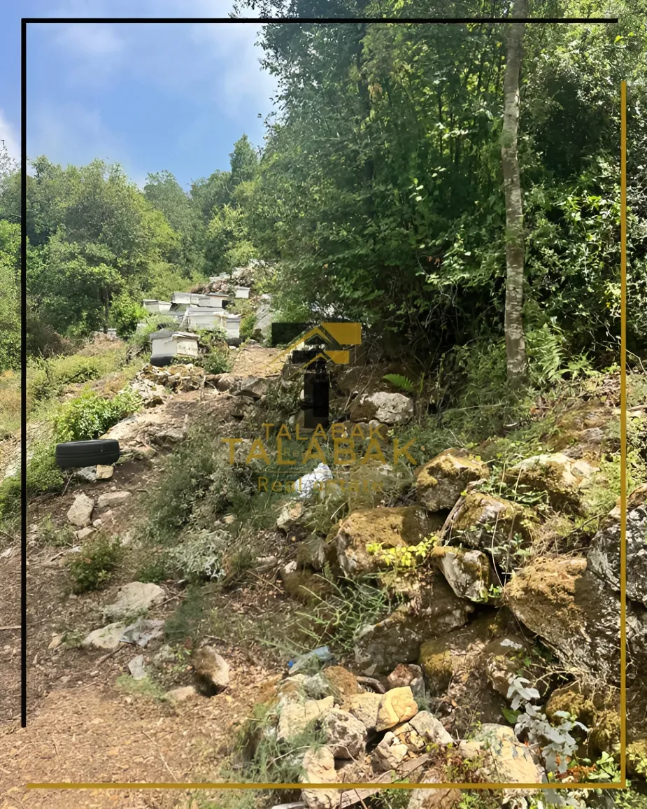 Residential Land for sale in Bentael