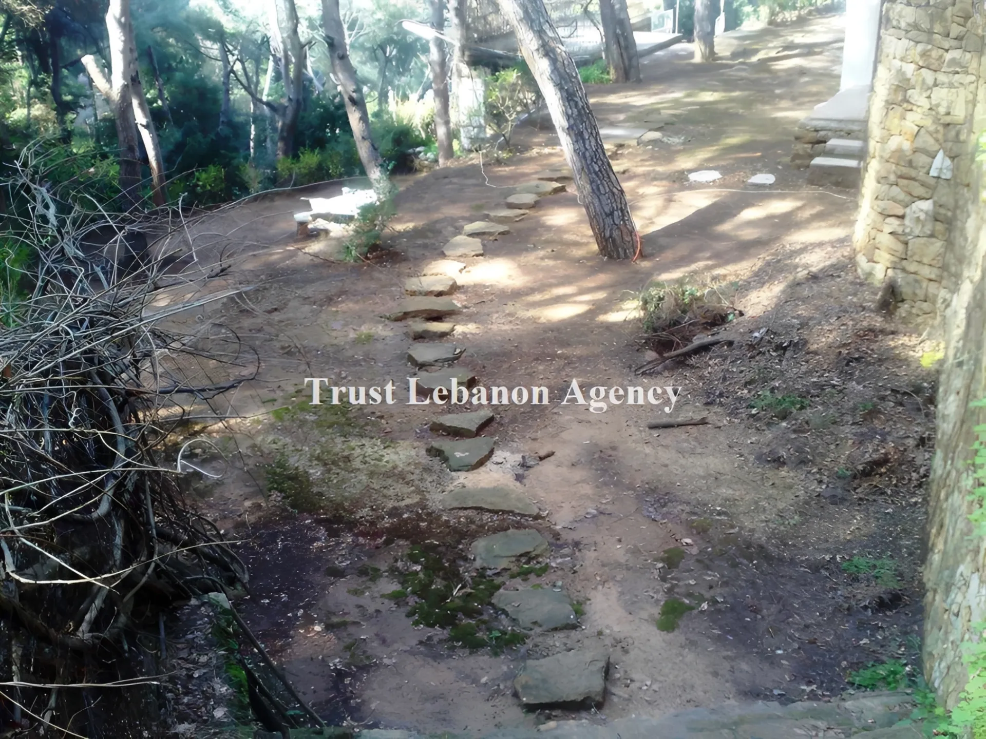 Villa for Sale in Metn Ain saade Lebanon