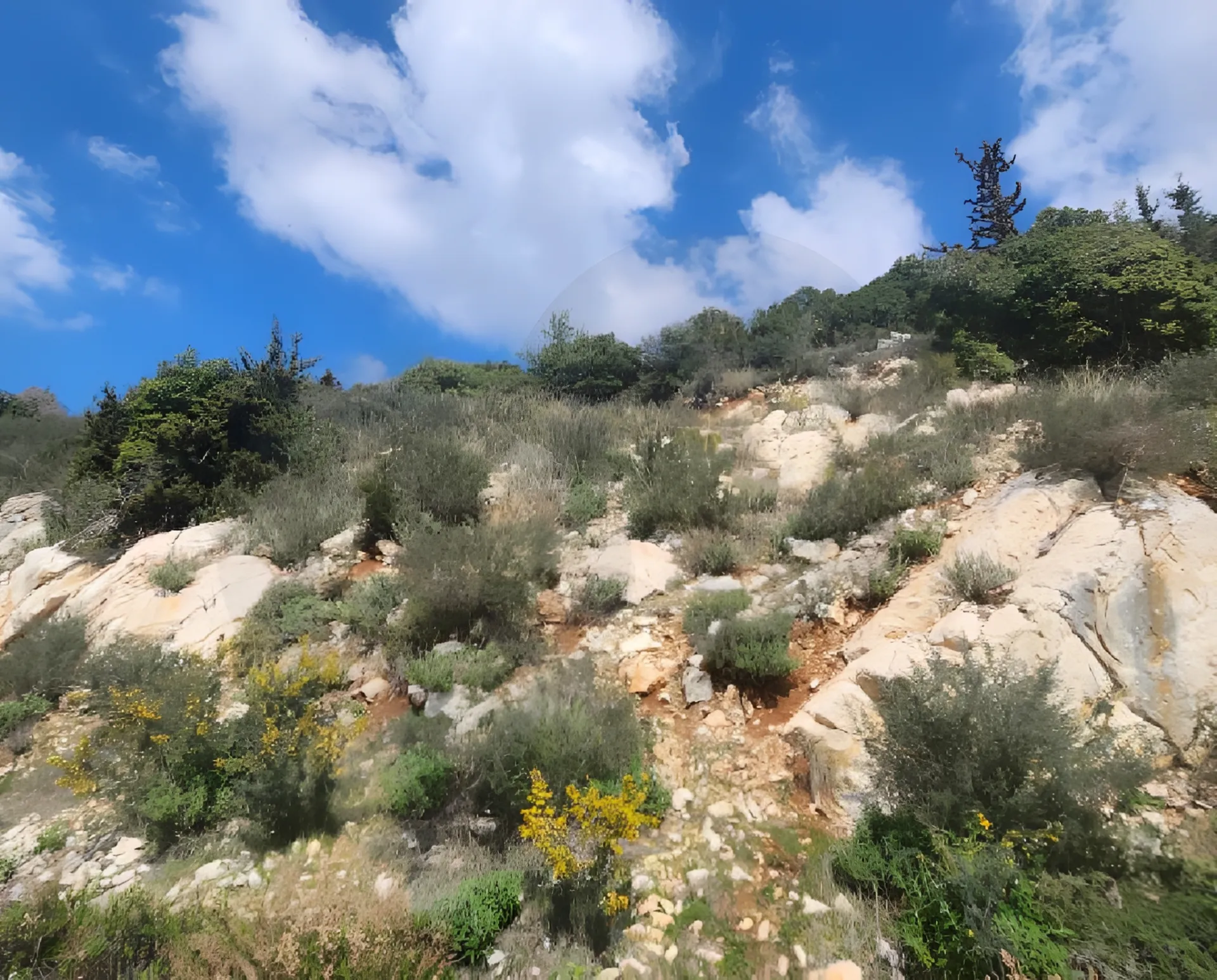 Land for Sale in Kfour, Lebanon