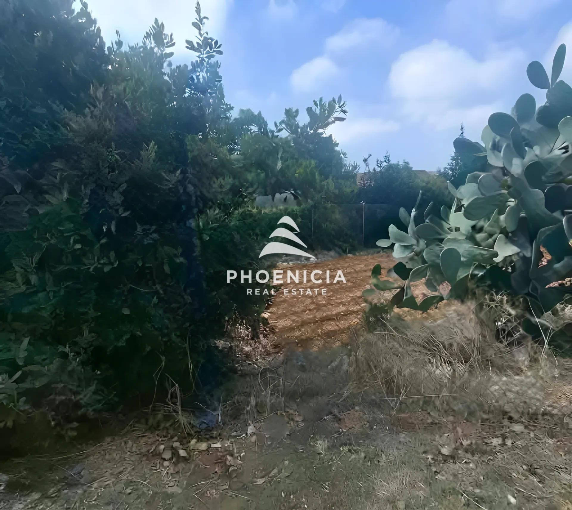 Residential Land for sale in Edde