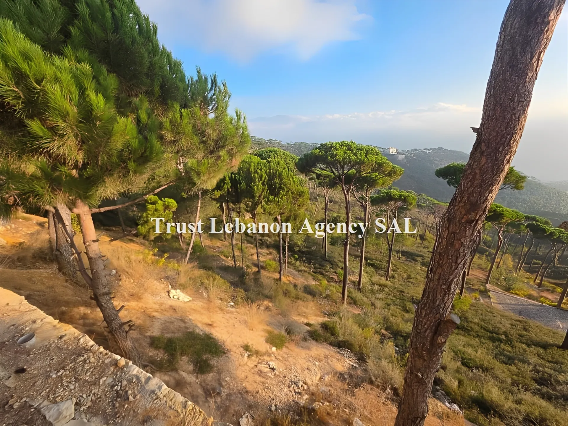 Land for Sale in Metn Ayroun Lebanon