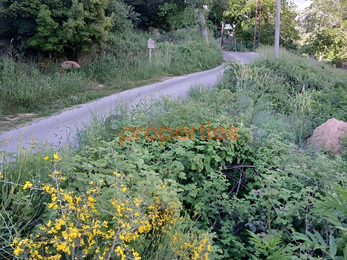 Residential Land for Sale in Ehmej