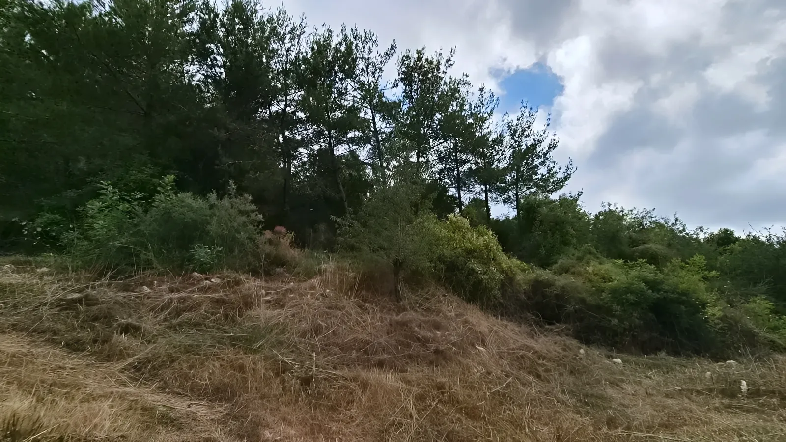 Land for Sale in Batroun
