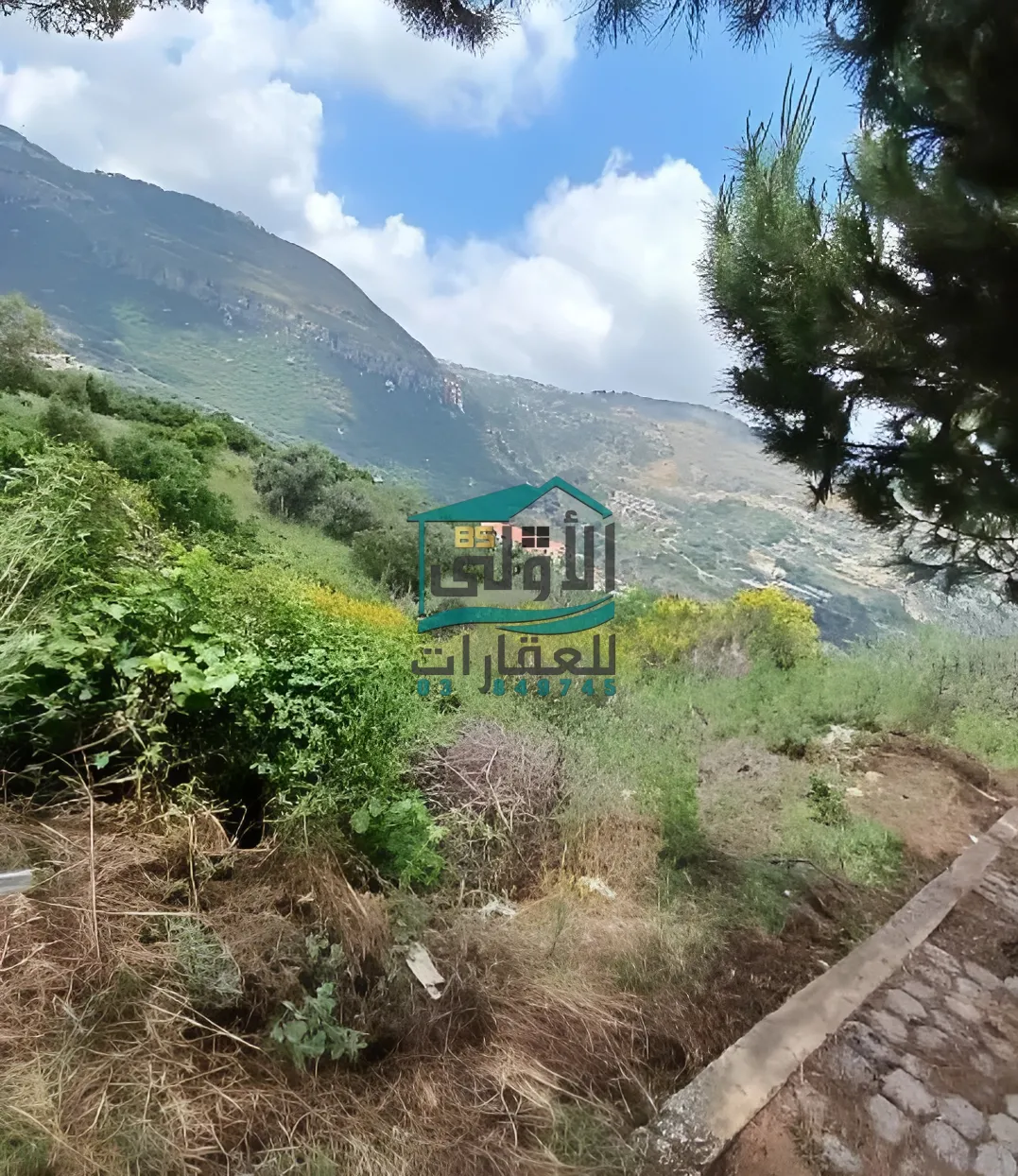 Land in الغابون، lebanon