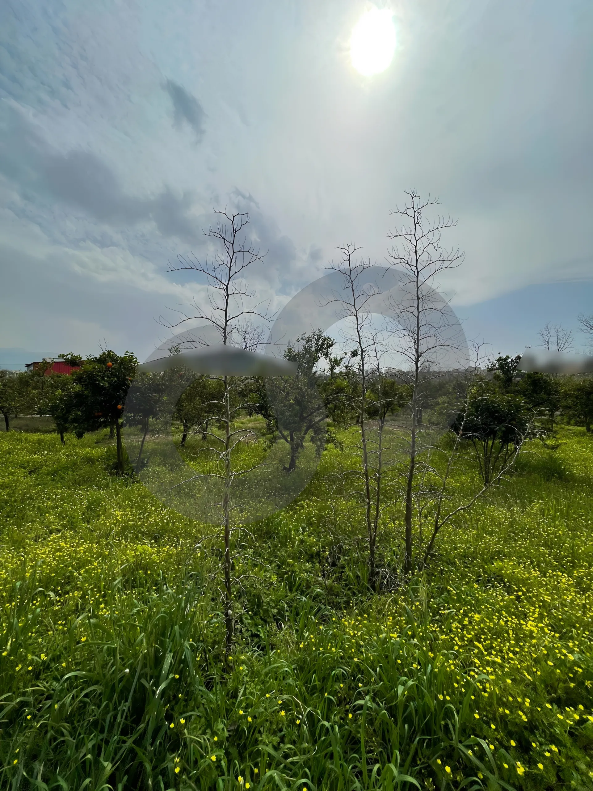 Land for Sale in Zgharta