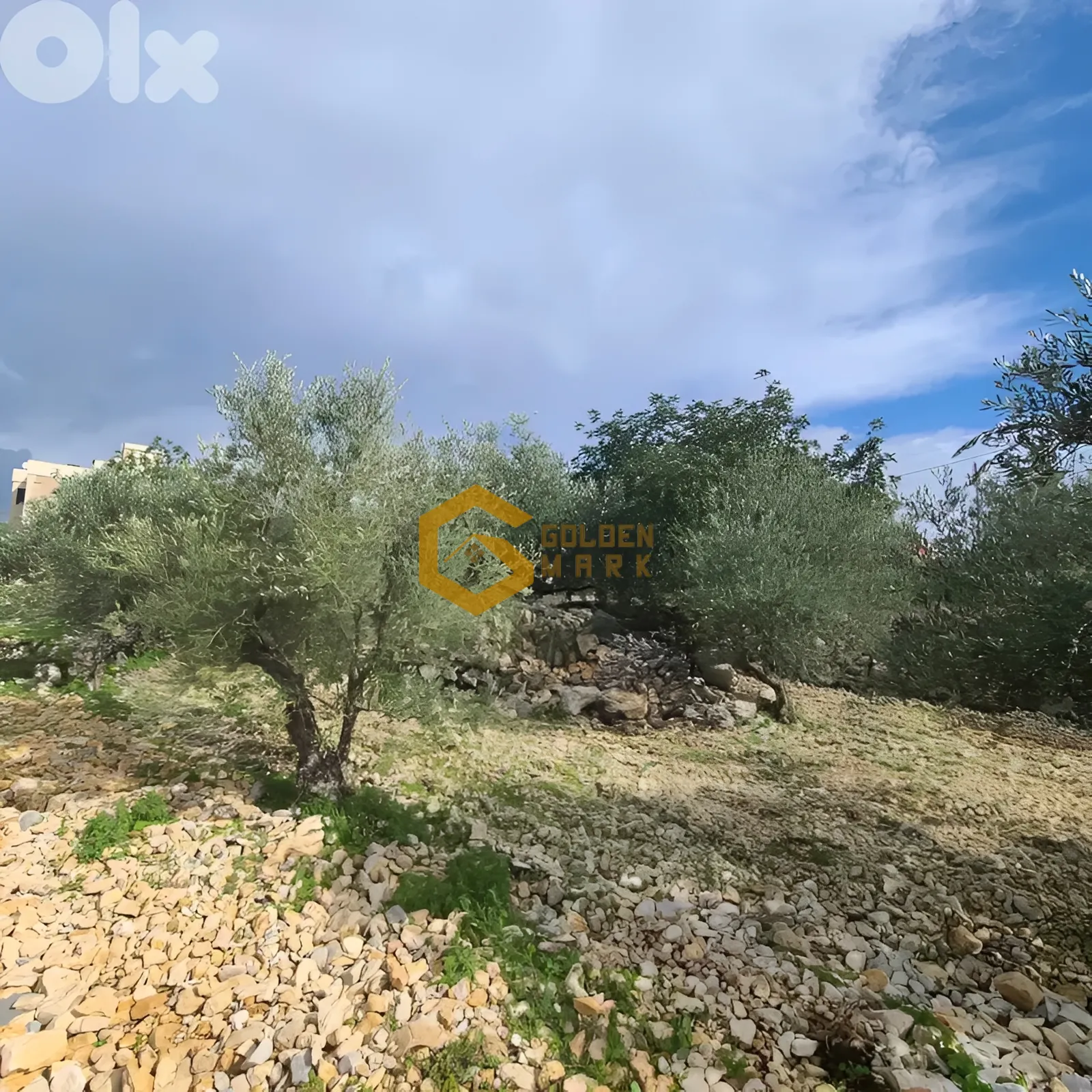 Land for Sale in Byblos