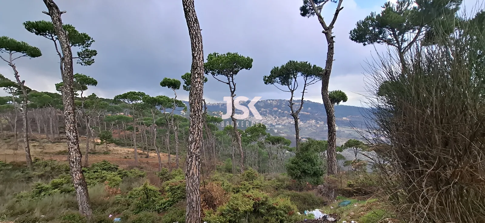 Land for Sale in Bolonia