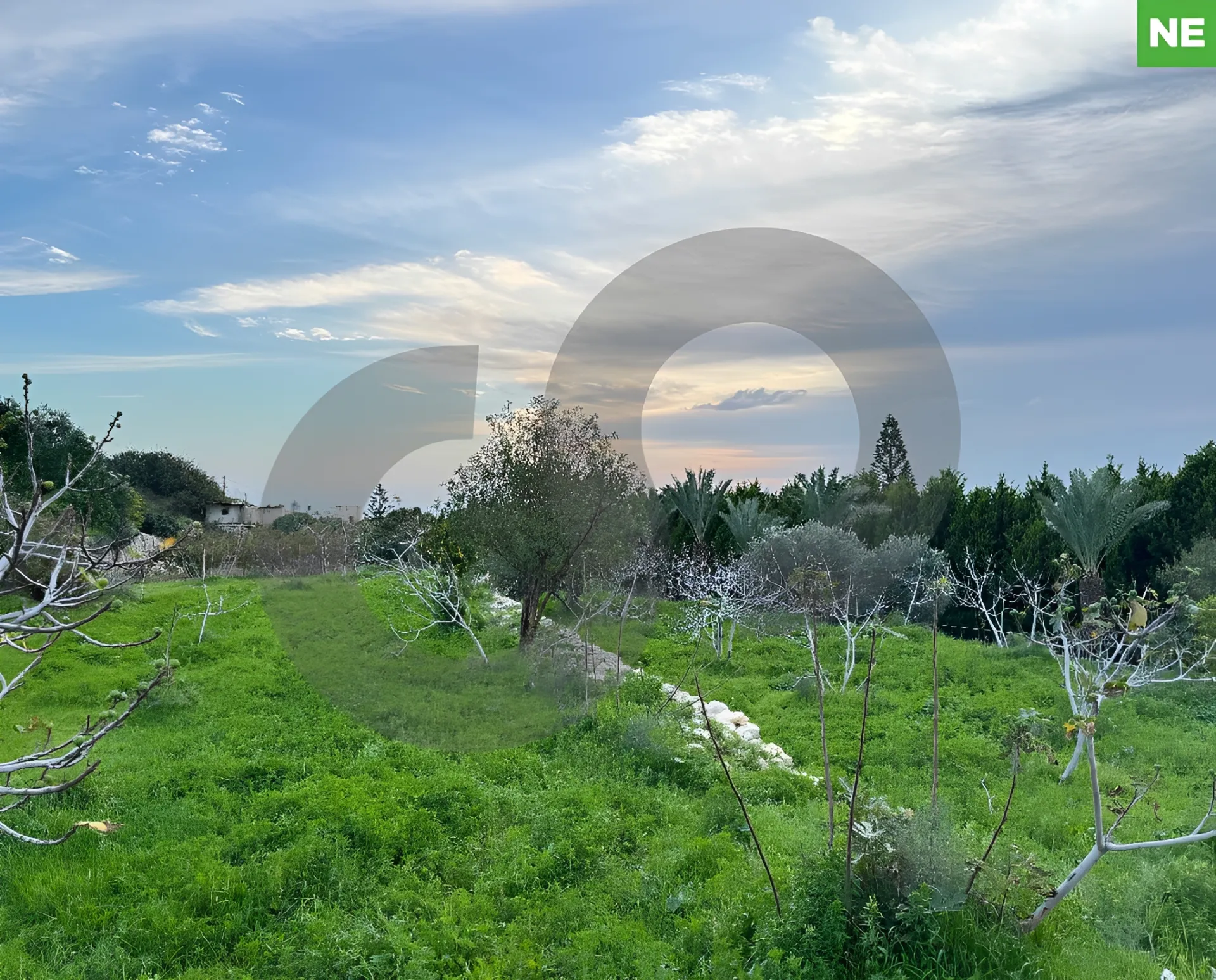 Land for Sale in Barbir