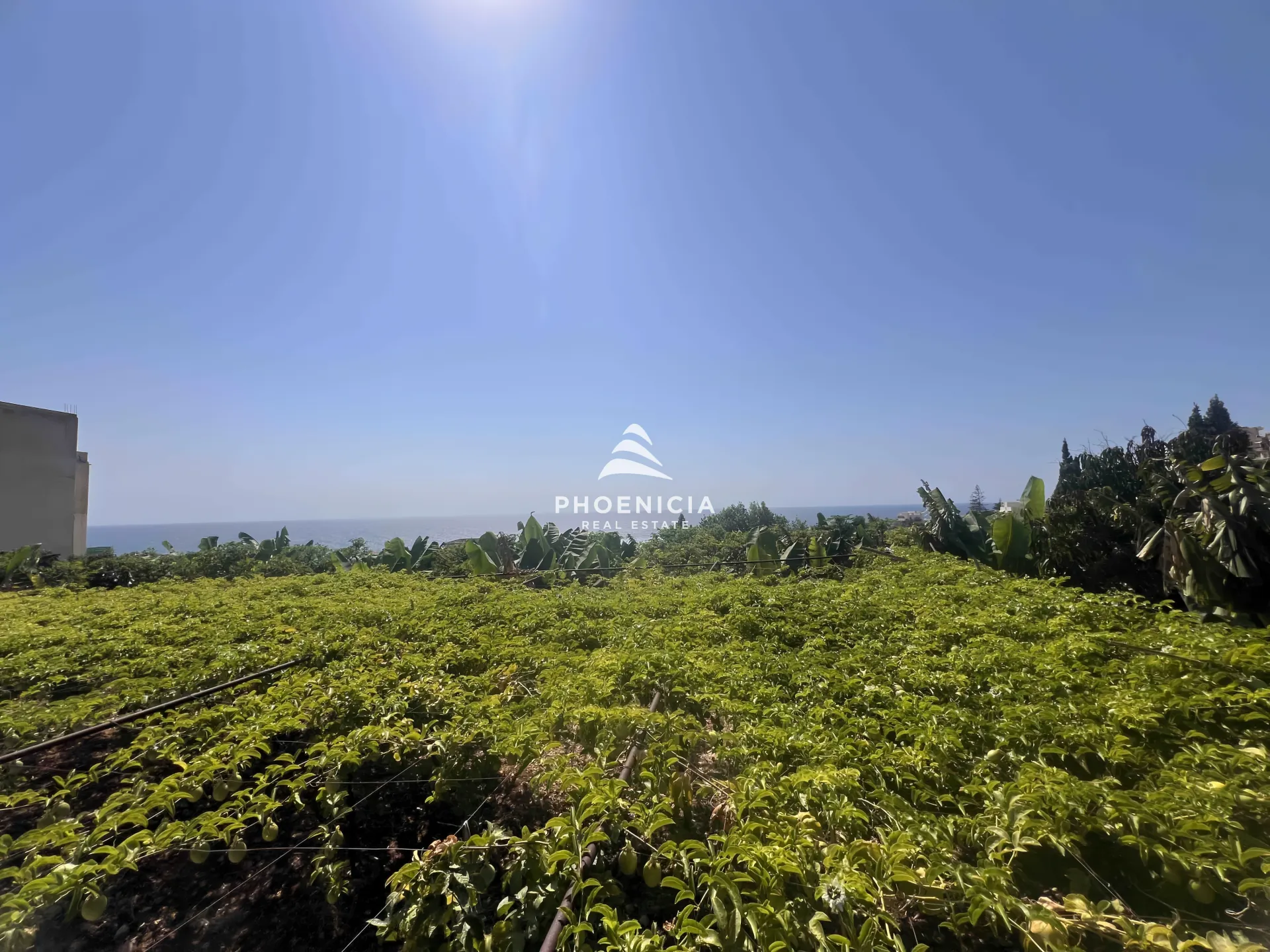 Land for Sale in Halat