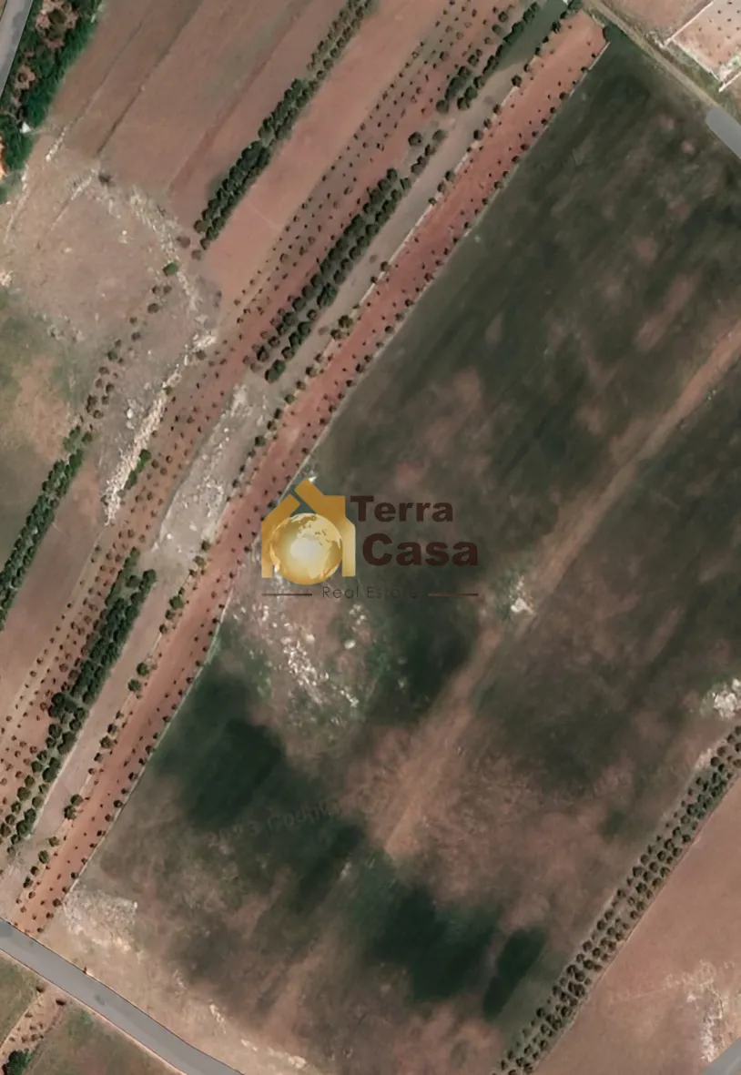 Land for Sale in Lala West Bekaa 980 Sqm Agriculture