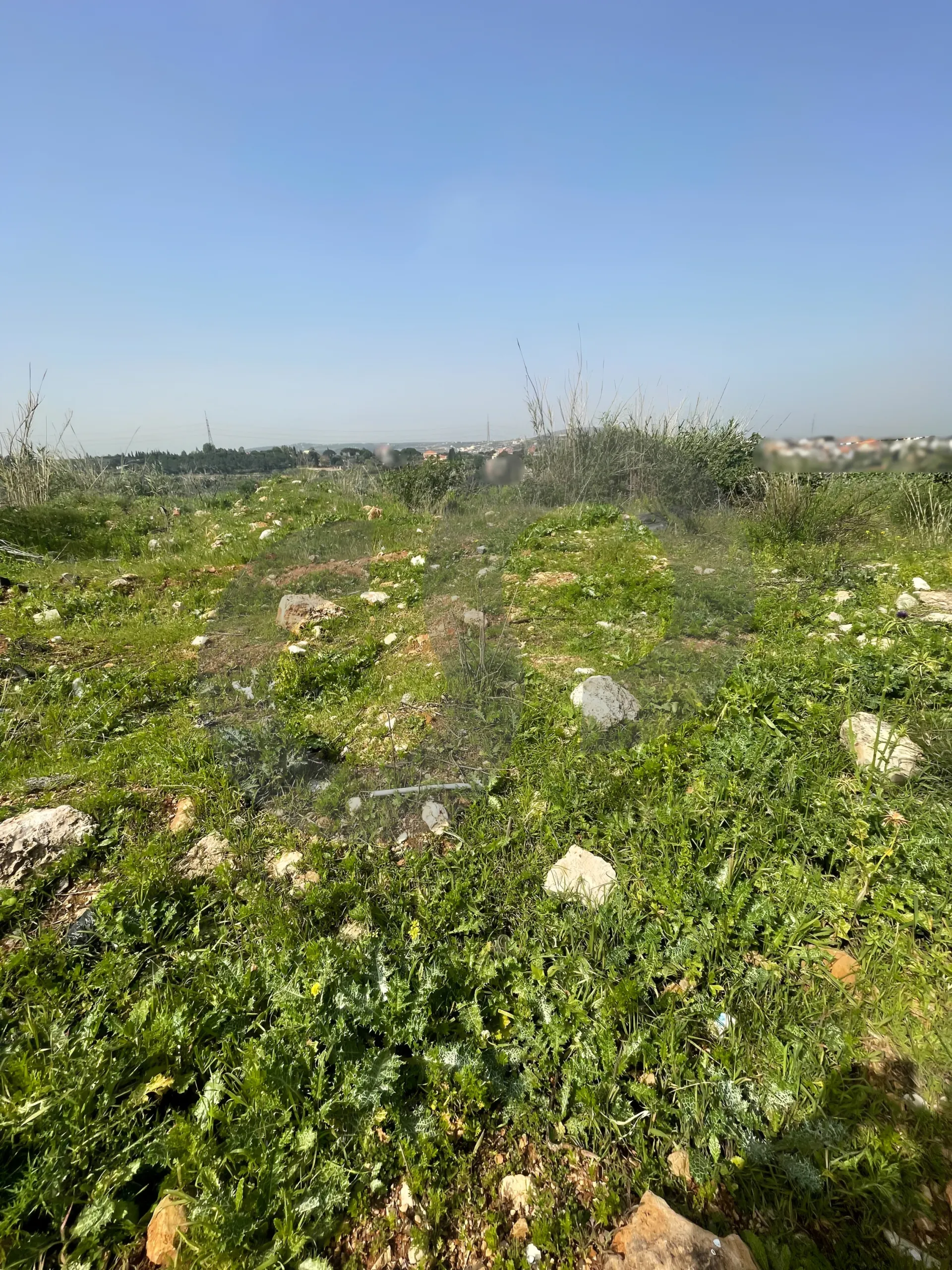 Land for Sale in Zgharta