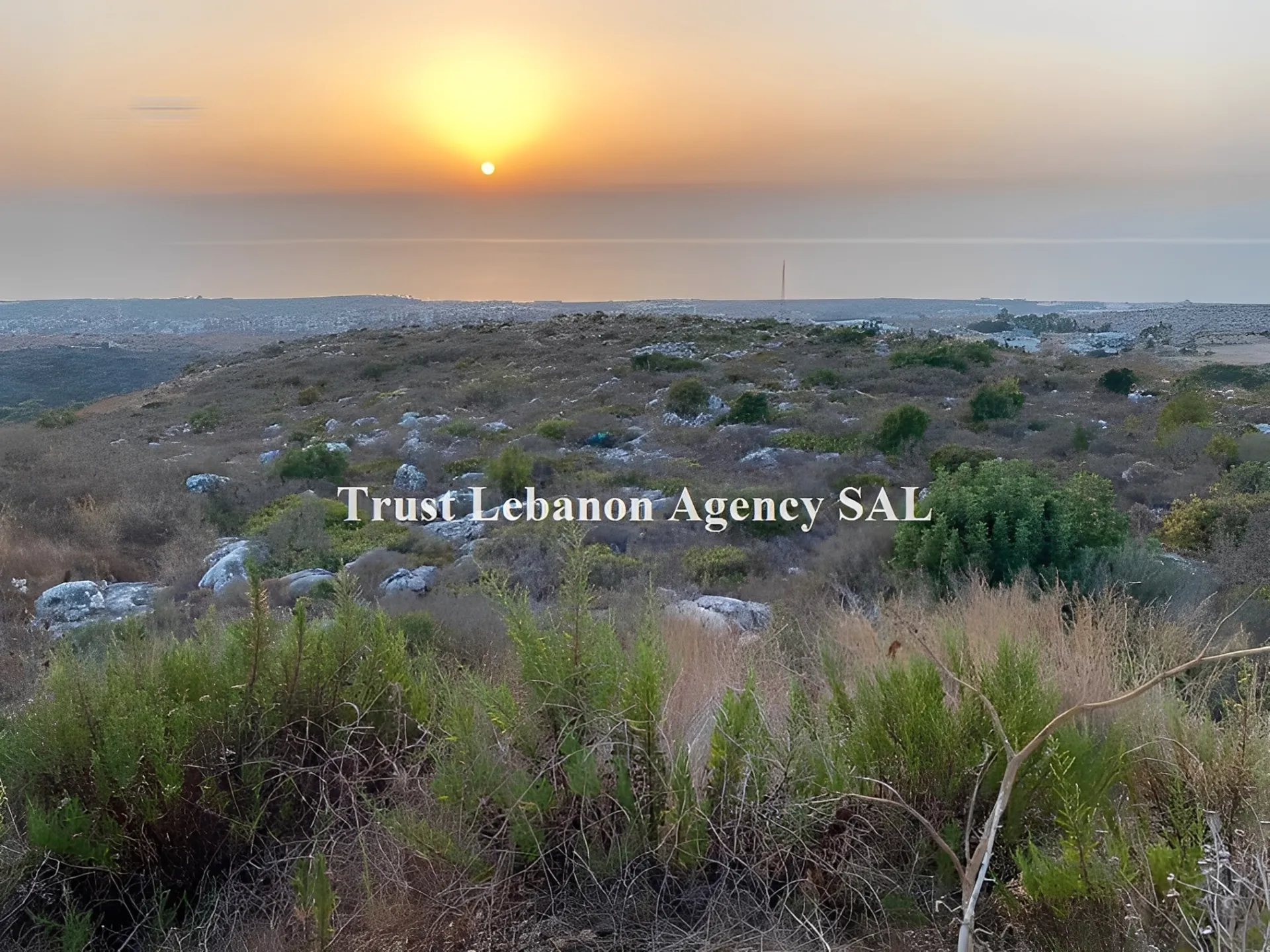 Land for Sale in Bawerta Alay