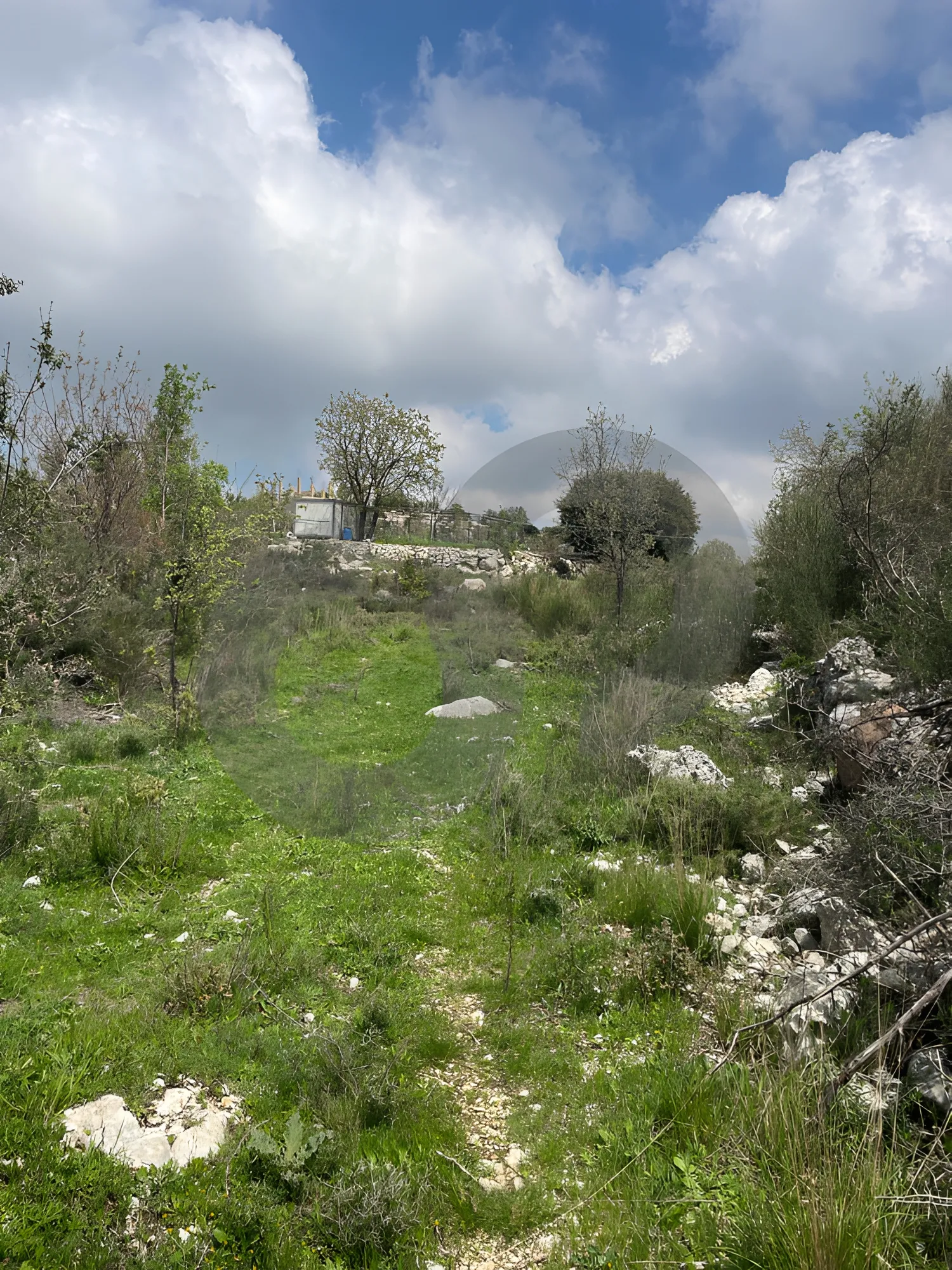 Land for Sale in Lehfed