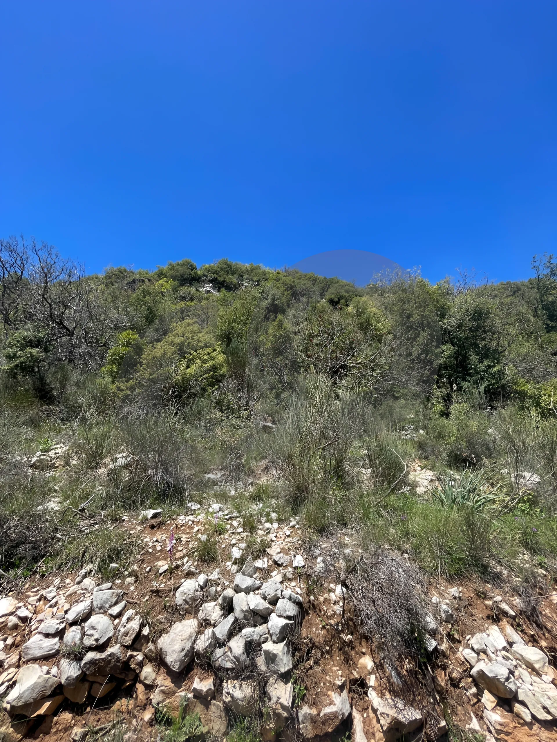 Land for Sale in Ehmej