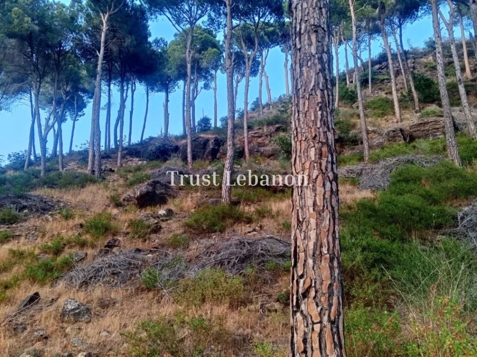 Residential Land for sale in Silfaya, Lebanon