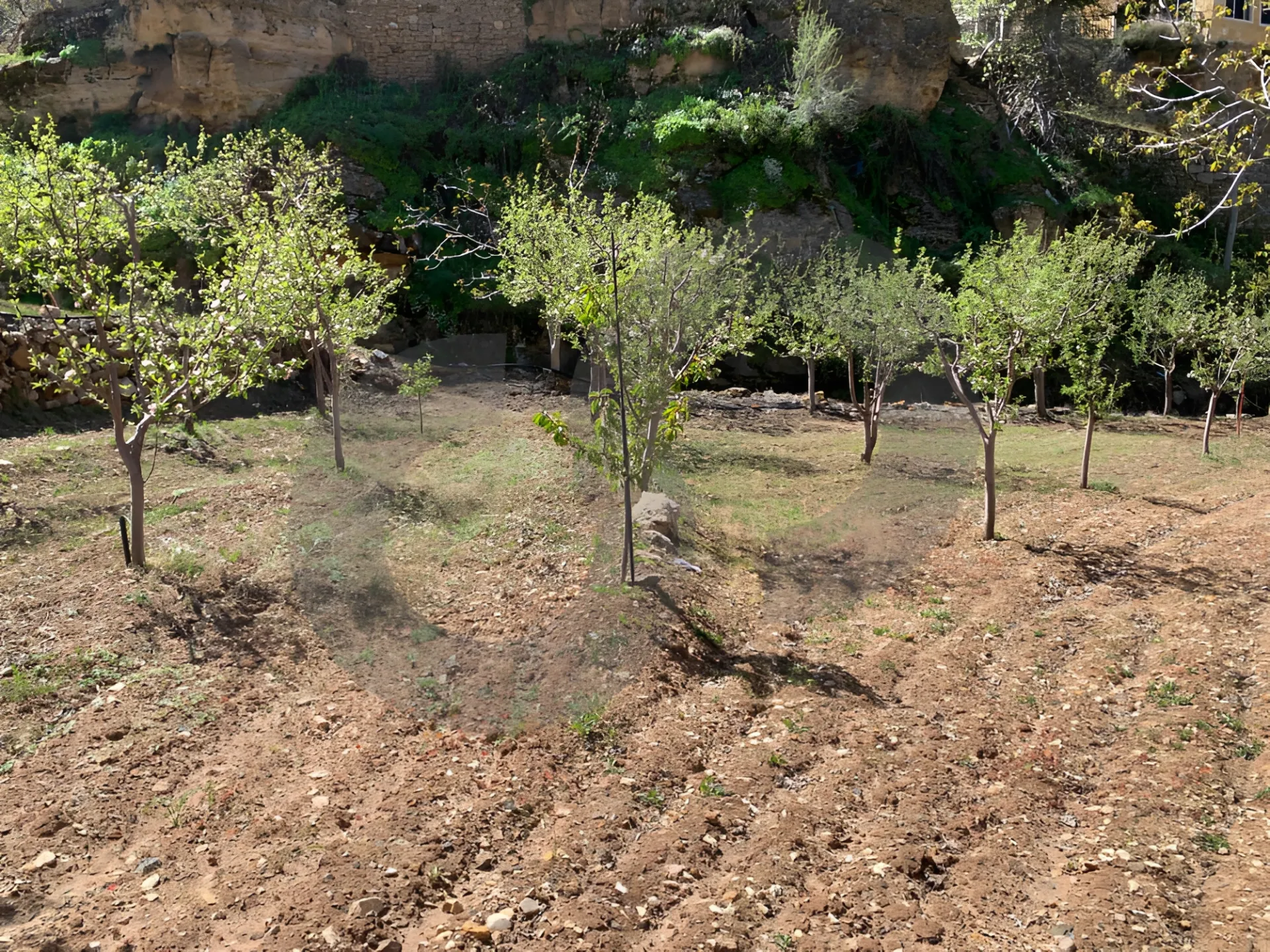 Land for Sale in Tannourine El Tahta