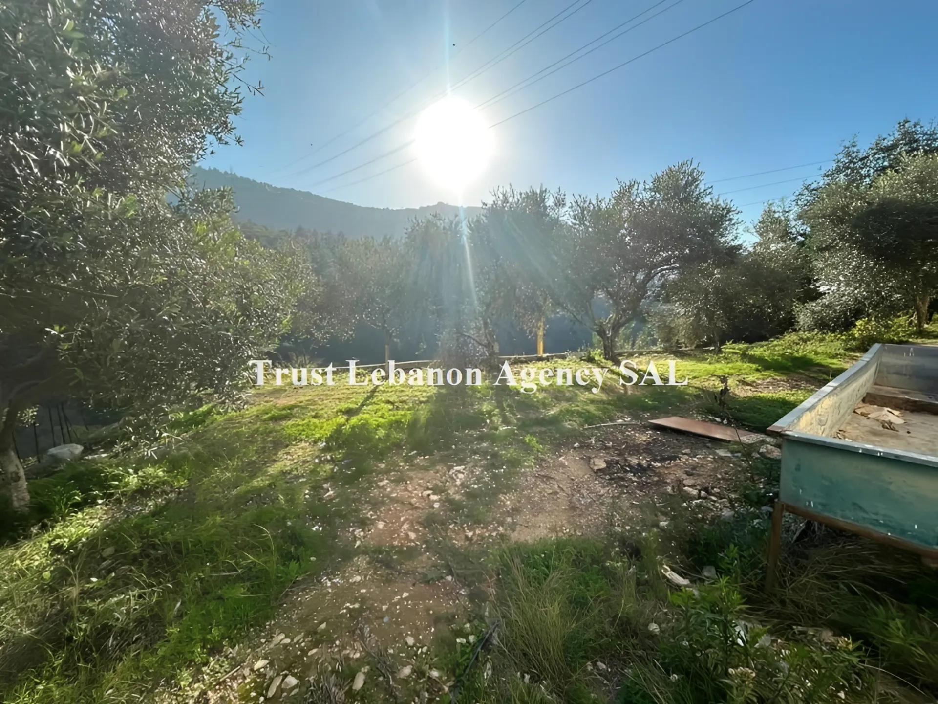 Commercial Property For Rent in Jbeil,