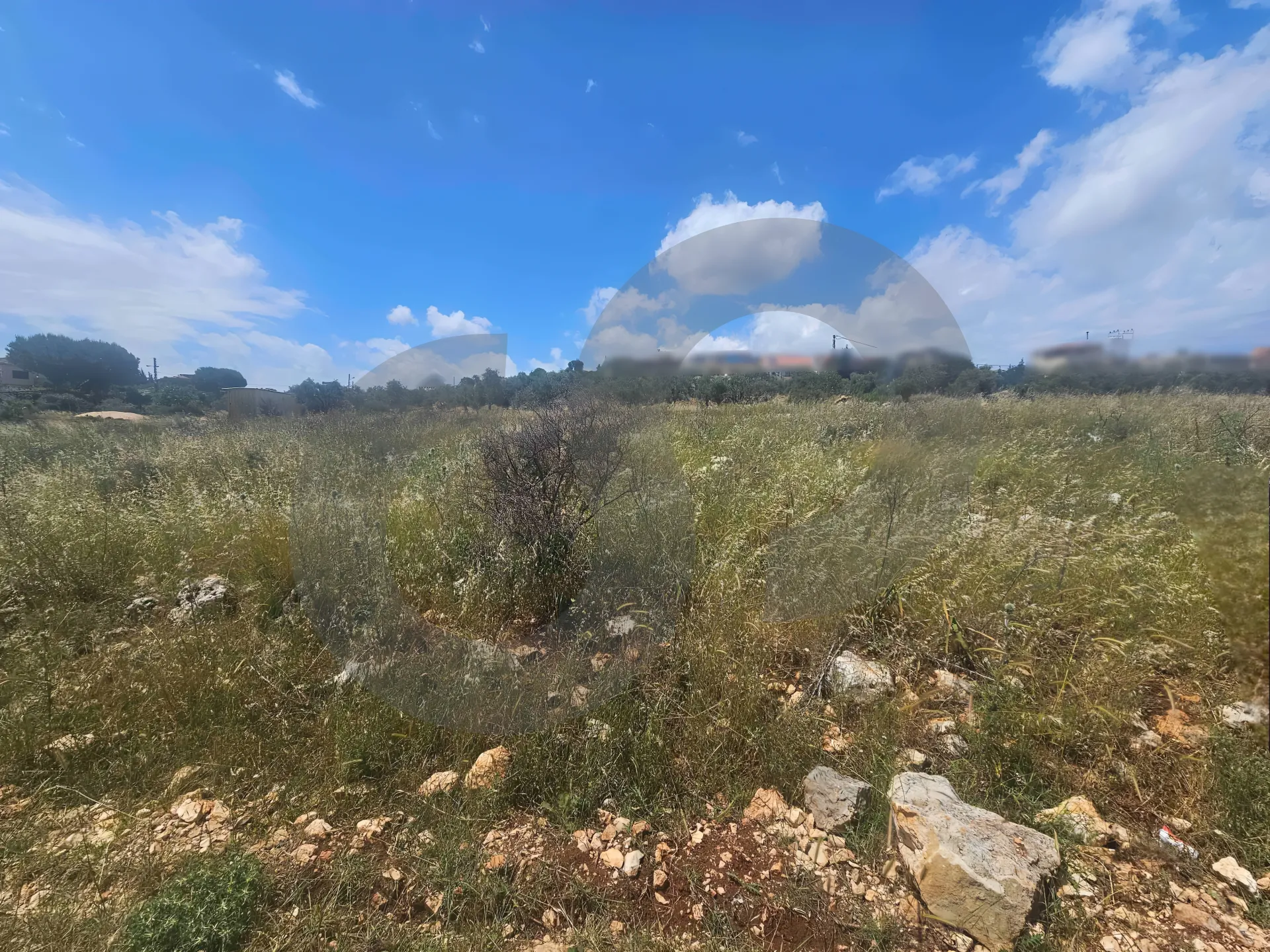 Land for Sale in Nakhleh