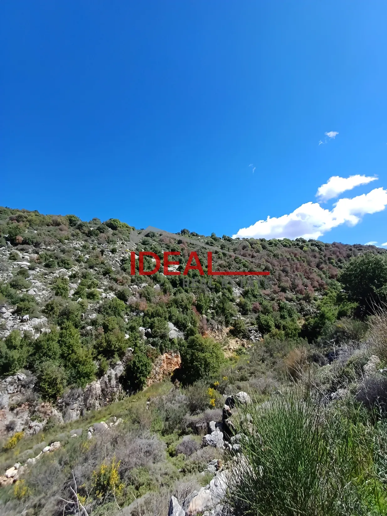 Residential Land for sale in Assia, Lebanon