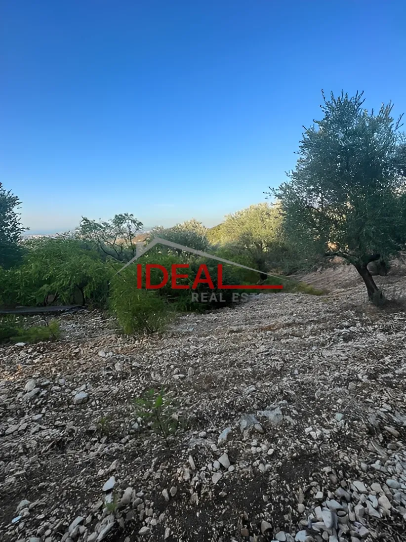 Land for Sale in Halta, Lebanon