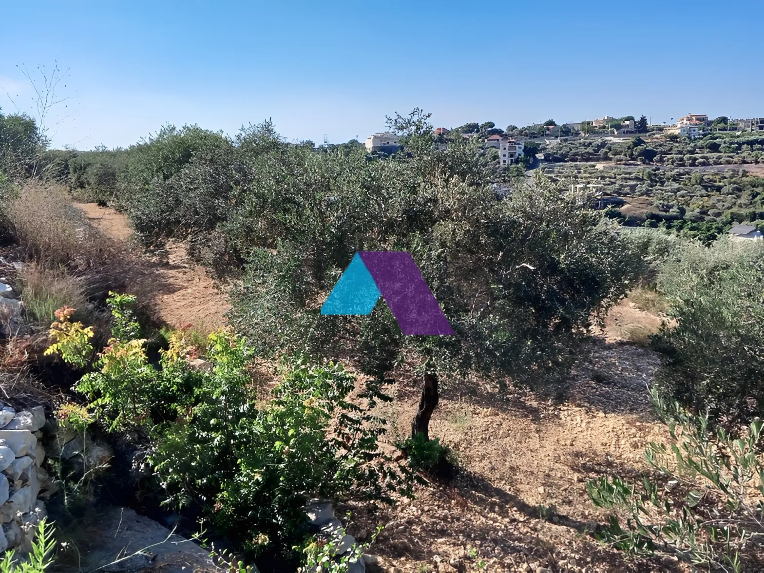 Land for Sale in Batroun