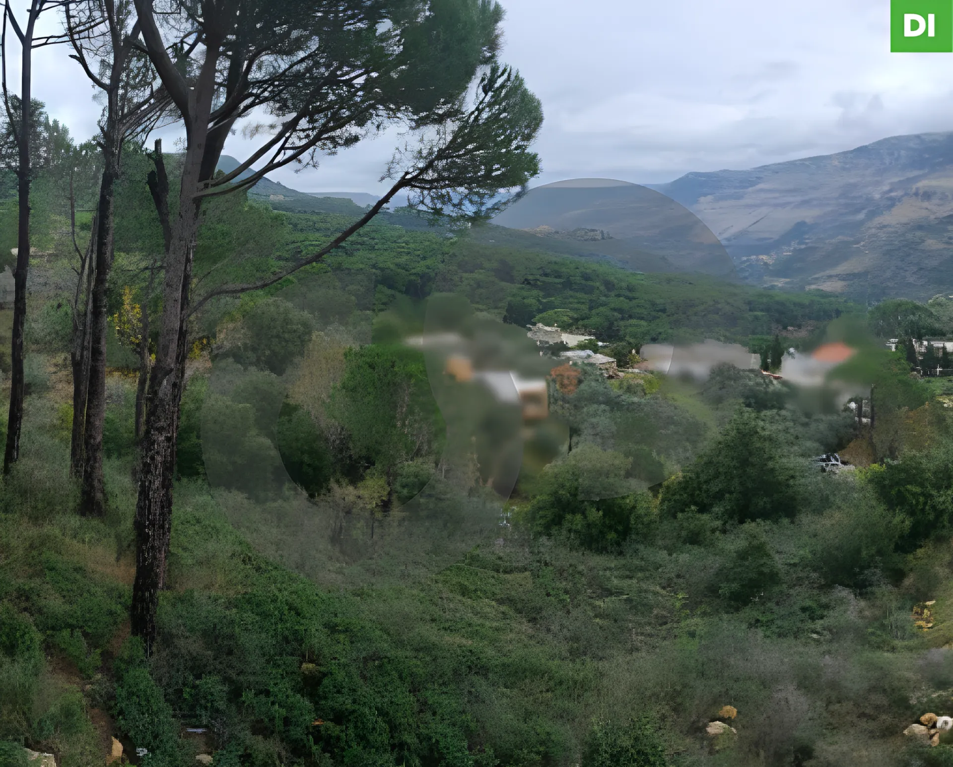 Land for Sale in Jezzine