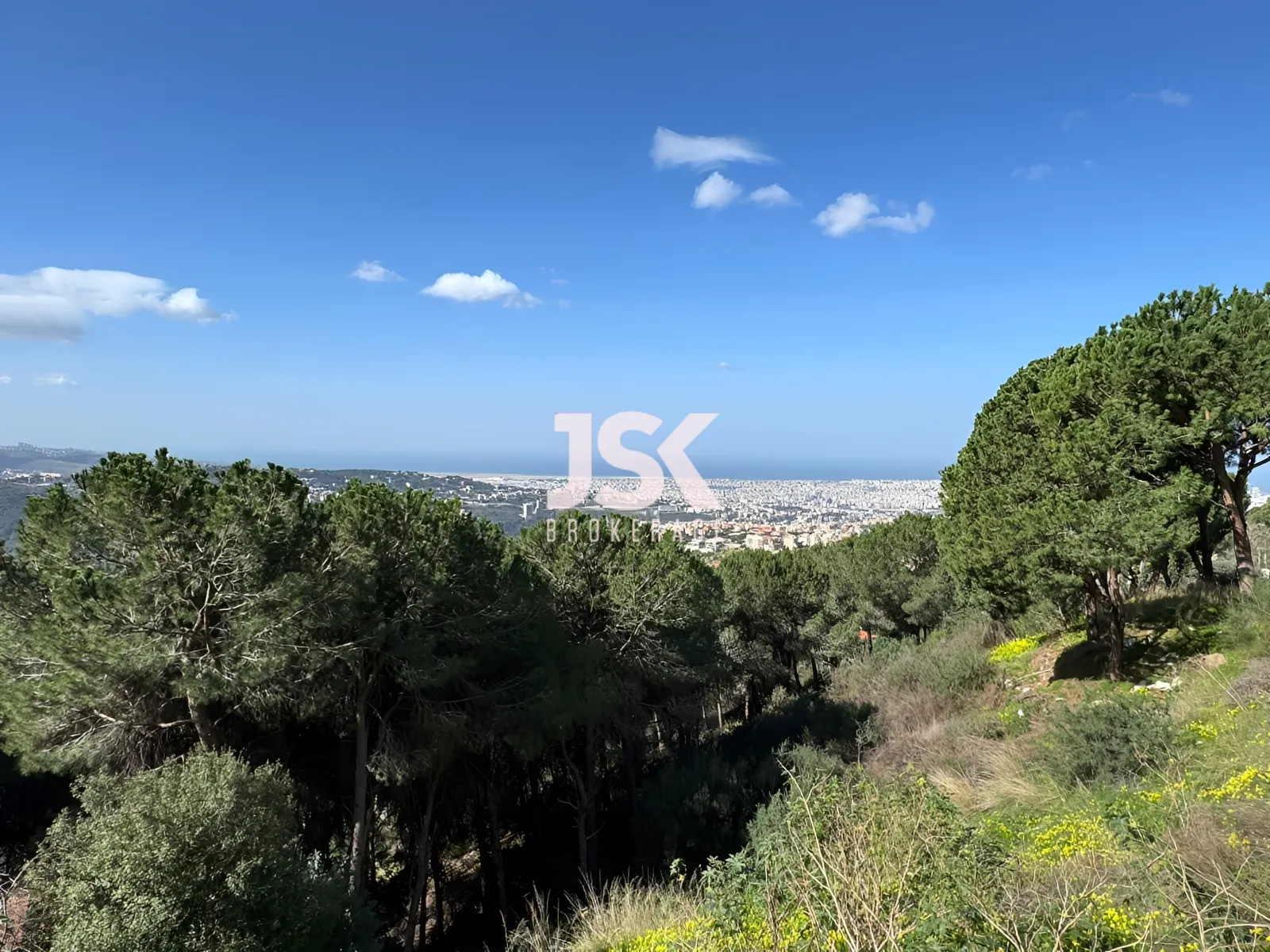 Land for Sale in Ain Saadeh