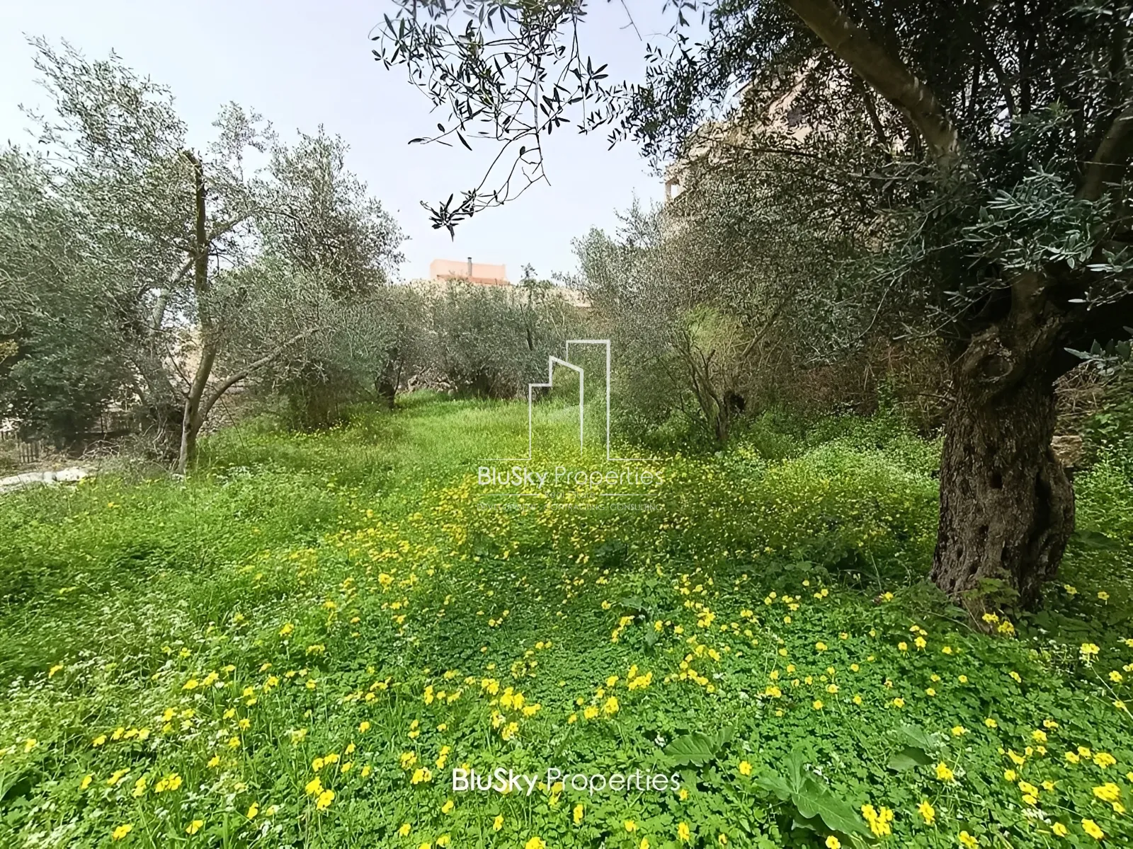 Apartment for Sale in Kfar Mashoun - 3 bed, 3 bath