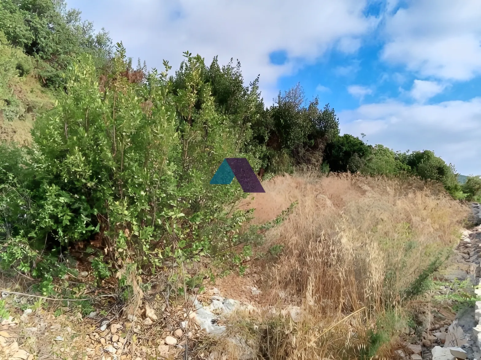 Land for Sale in Batroun